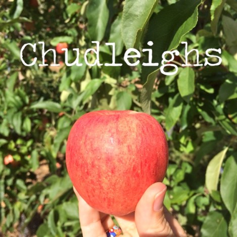 chudleighs-apple-picking