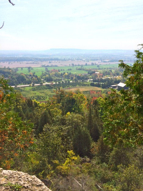 rattlesnake-point-hiking