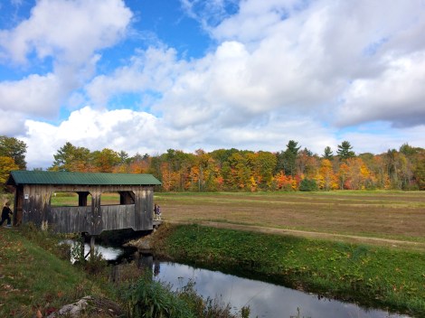 cranberry-experience