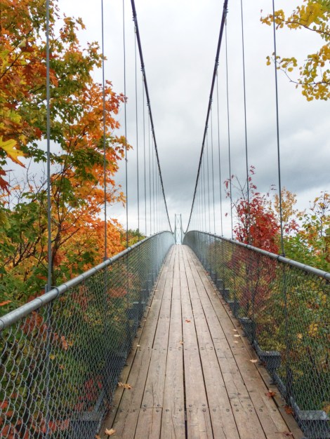 suspension-bridge-collingwood