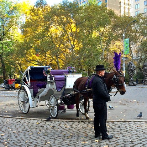 NYC-horse-drawn-carriage